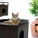 Corner Cat Litter Box Furniture Creative On Other Intended Cabinet 5