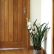 Interior Dark Wood Interior Doors Nice On With Arch Top Door To Match Home Design 9 Dark Wood Interior Doors