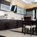 Dark Wood Modern Kitchen Cabinets Perfect On Throughout Cabinet Door Hinges Home Design Ideas Adjust 5