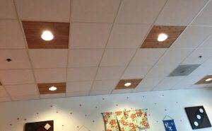 Drop Ceiling Lighting Ideas