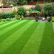 Other Fake Grass Backyard Astonishing On Other For Best 25 Artificial Turf Ideas Pinterest 22 Fake Grass Backyard