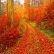Other Fall Nature Backgrounds Fresh On Other Throughout Forests Red Colors Path Beautiful Colorful Autumn Forest 26 Fall Nature Backgrounds