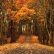 Other Fall Nature Backgrounds Incredible On Other In Ideas About Wallpaper Pinterest Wallpapers IPhone 640 960 9 Fall Nature Backgrounds