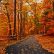 Other Fall Nature Backgrounds Simple On Other With 109 Best Images Pinterest Forests Autumn And 29 Fall Nature Backgrounds