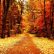 Fall Nature Backgrounds Wonderful On Other Inside Colors Forests Background Wallpapers Desktop 3