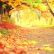 Other Fall Nature Backgrounds Wonderful On Other Within Stock Video Of Autumn Park Background Beautiful 7 Fall Nature Backgrounds
