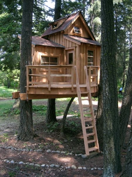 Home Kids Tree House Fresh On Home In 50 Treehouse Designs 50th And Houses 0 Kids Tree House