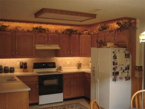 Interior Kitchen Cabinet Accent Lighting Excellent On Interior Inside 1 Kitchen Cabinet Accent Lighting