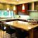 Kitchen Kitchen Counter Lighting Ideas Astonishing On Regarding Lights Under Low Voltage Ikea 12 Kitchen Counter Lighting Ideas