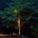 Other Landscape Lighting Trees Charming On Other Intended For Tree C Qtsi Co 7 Landscape Lighting Trees