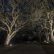 Landscape Lighting Trees Charming On Other Within Large Sidera 1