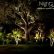 Other Landscape Lighting Trees Contemporary On Other For Deck Area E Qtsi Co 8 Landscape Lighting Trees