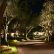 Landscape Lighting Trees Modest On Other With Regard To Frisco Design Plano 2