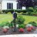 Other Mailbox Landscaping Ideas Beautiful On Other For Top 30 Best Plant Designs 6 Mailbox Landscaping Ideas