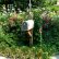 Mailbox Landscaping Ideas Exquisite On Other With Landscape Design HGTV 5
