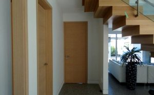 Mid Century Modern Interior Door