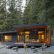 Modern Cabin Design Nice On Home Regarding Cabins And Ideas For Homes Living 2