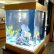 Interior Office Aquariums Imposing On Interior For Cn Lso Ll Dental Awesome Aquarium 15 Office Aquariums
