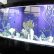 Interior Office Aquariums Stunning On Interior In The 10 Best For Your Blue Planet Aquarium 0 Office Aquariums