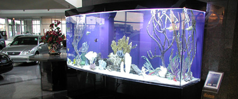 Interior Office Aquariums Stunning On Interior In The 10 Best For Your Blue Planet Aquarium 0 Office Aquariums
