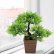 Office Office Bonsai Tree Imposing On Inside GTidea 10 6 Inch Artificial Cedar Trees Fake Potted Plants 29 Office Bonsai Tree