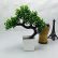 Office Office Bonsai Tree Modern On Regarding Amazon Com Artificial Japanese Zen Home Planet With Pot 6 Office Bonsai Tree