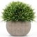 Office Office Pot Plants Charming On And Amazon Com Kumii Mini Artificial Topiary In Small Home 27 Office Pot Plants
