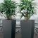 Office Office Pot Plants Charming On With Indoor House For Sale Online UK Wide Delivery 0 Office Pot Plants