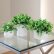 Office Office Pot Plants Creative On Artificial Potted Set Simulation Clover Flowers 26 Office Pot Plants