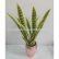 Office Office Pot Plants Creative On China Artificial Desert Tiger Agave From Shenzhen Wholesaler 24 Office Pot Plants