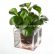 Office Office Pot Plants Delightful On Aliexpress Com Buy Creative Clear Tube Plant Flower 7 Office Pot Plants