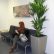 Office Office Pot Plants Magnificent On Regarding Lesley S Bloomers Home 13 Office Pot Plants
