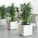 Office Office Pot Plants Plain On Intended For Plant Ideas Interior Landscaping Tropical 17 Office Pot Plants