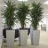 Office Pot Plants Simple On In 59 Best And Planters Images Pinterest 2
