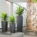 Office Office Pot Plants Stunning On Throughout The Workplace Collection Discover Plant Rentals 12 Office Pot Plants