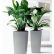 Office Office Pot Plants Stylish On Pertaining To Glass Greenery Indoor Plant Hire Rental 14 Office Pot Plants