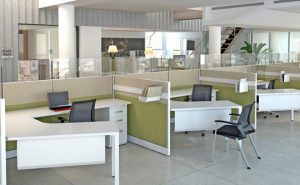 Open Office Cubicles
