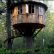 Home Pete Nelson S Tree Houses Creative On Home For Treehouses By Interview With Of Animal 9 Pete Nelson S Tree Houses
