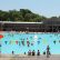 Other Public Swimming Pool Interesting On Other With Best Outdoor Pools In NYC East Harlem New York DNAinfo 19 Public Swimming Pool