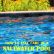 Other Salt Water Pool Unique On Other Throughout Amazon Com How To Take Care Of A Saltwater EBook Mike Chapman 28 Salt Water Pool
