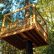 Home Simple Tree House Designs And Plans Interesting On Home Regarding Elevated Living S Eco Friendly Homes Take Outdoor Play To New 14 Simple Tree House Designs And Plans