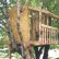Home Simple Tree House Designs And Plans Stunning On Home Intended For 27 DIY That Can Shape Your Childhood Adulthood 9 Simple Tree House Designs And Plans