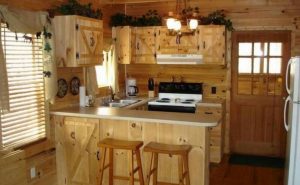 Small Cabin Kitchen Design