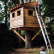 Tree House Designs Lovely On Home Throughout 38 Brilliant Plans MyMyDIY Inspiring DIY Projects 3