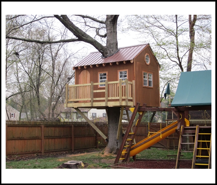 Home Tree House Designs Perfect On Home Throughout Plans Design 0 Tree House Designs