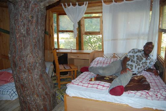 Other Tree House Hotel Inside Brilliant On Other Intended Room Picture Of Saklikent Milli Parki 0 Tree House Hotel Inside