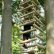 Home Tree House Ideas Excellent On Home And 17 Awesome Treehouse For You The Kids 8 Tree House Ideas