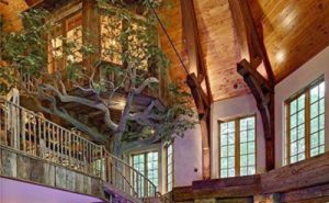 Tree House Ideas Inside