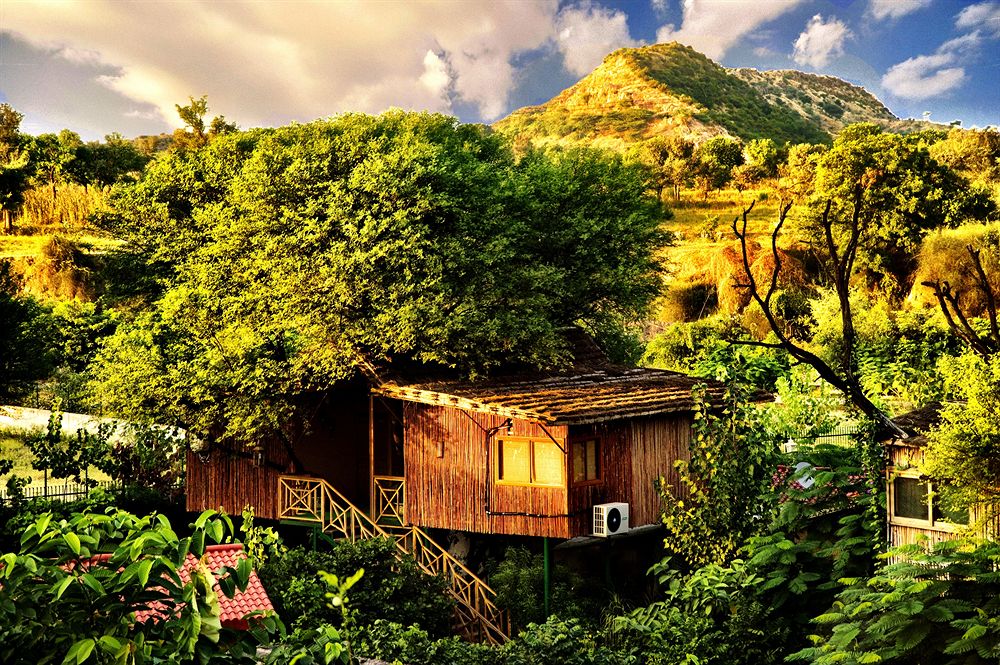 Home Tree House Resort Incredible On Home Throughout The In Achrol Hotel Rates Reviews Orbitz 0 Tree House Resort