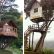 Tree Houses Contemporary On Home In 36 Amazing Dream 5